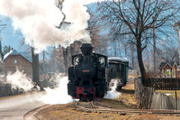 Waldbahn Moldovita